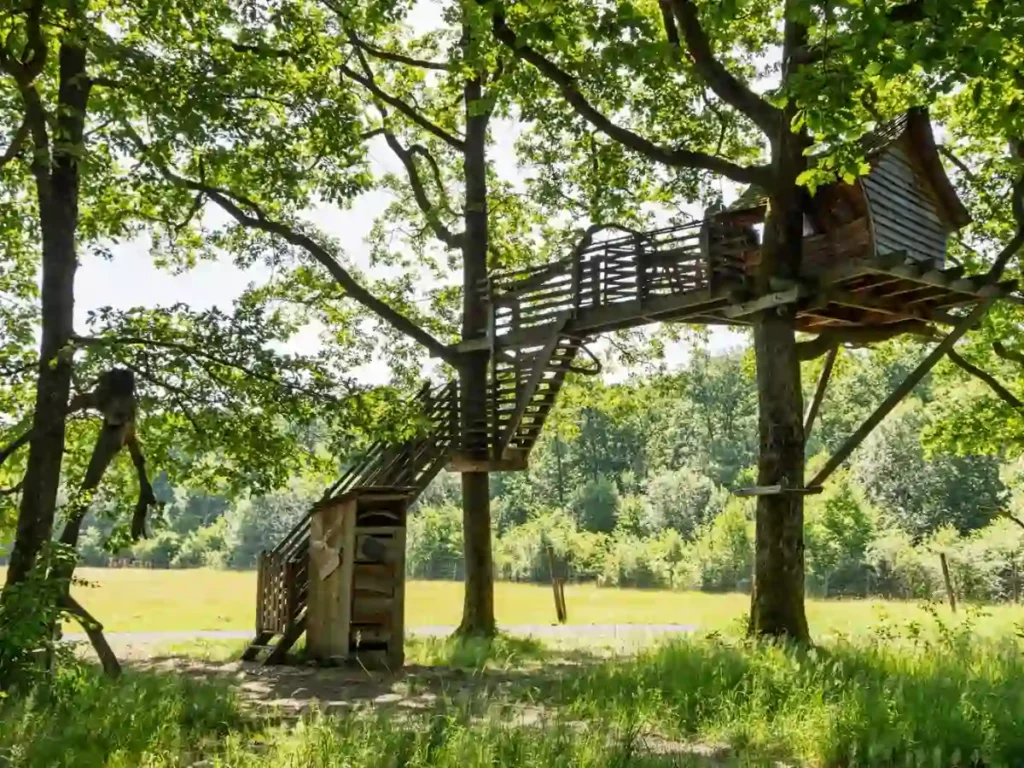 Cabane perchée de Vit Tel Ta Nature à Vittel, lieu du tournage Golden Boys Show